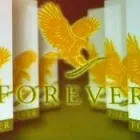 Afacere 47 imagine FOREVER LIVING SIBIU Sănătate şi Medicină în Sibiu