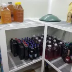 Afacere 8 imagine FRIGO LAND SERVICE Servicii profesionale în Constanţa