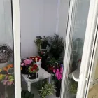 Afacere 19 imagine FRIGO LAND SERVICE Servicii profesionale în Constanţa