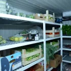 Afacere 25 imagine FRIGO LAND SERVICE Servicii profesionale în Constanţa