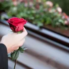 Afacere 1 imagine FUNERARE 24 Servicii profesionale în Bucureşti