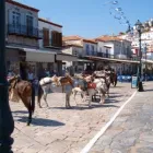 Afacere 7 imagine FUTURE TRAVEL PLANS Turism şi Agrement în Bucureşti