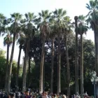 Afacere 15 imagine FUTURE TRAVEL PLANS Turism şi Agrement în Bucureşti