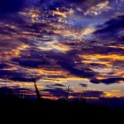 Afacere 6 imagine GABRIEL TEST în Oradea BH