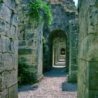 Afacere 7 imagine GABRIEL TEST în Oradea BH