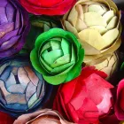 Afacere 12 imagine GABRIEL TEST în Oradea BH