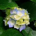 Afacere 15 imagine GABRIEL TEST în Oradea BH