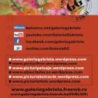 Afacere 9 imagine GABRIELA CALINOIU PFA Servicii profesionale în Bucureşti