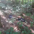 Afacere 2 imagine GARDA NATIONALA DE MEDIU CARAS-SEVERIN Shopping în Reşiţa CS