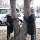 Afacere 4 imagine GHSMEDNATPL/ CABINET GHEORGHE SARBU în Ploieşti PH