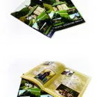 Afacere 31 imagine GILLDESIGN Shopping în Deva HD