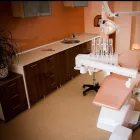 Afacere 3 imagine GOLDEN SMILE MEDICINĂ DENTARĂ Stomatologi şi cabinete stomatologice în Târgu Jiu GJ