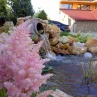 Afacere 1 imagine GREEN SPOT SRL Servicii profesionale în Braşov
