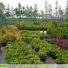 Afacere 2 imagine GREEN SPOT SRL Servicii profesionale în Braşov