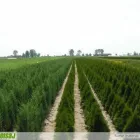 Afacere 3 imagine GREEN SPOT SRL Servicii profesionale în Braşov