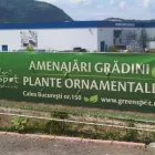Afacere 7 imagine GREEN SPOT SRL Servicii profesionale în Braşov