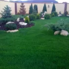 Afacere 8 imagine GREEN SPOT SRL Servicii profesionale în Braşov