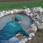 Afacere 9 imagine GREEN SPOT SRL Servicii profesionale în Braşov