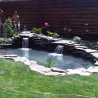 Afacere 10 imagine GREEN SPOT SRL Servicii profesionale în Braşov