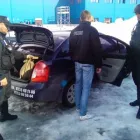 Afacere 5 imagine GREY GUARD SECURITY Transport în Buzău