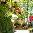 Afacere 11 imagine HANU' BERARILOR CASA ELENA LUPESCU Restaurant cu specific est-european în Bucuresti B