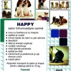 Afacere 1 imagine HAPPY DOG ORADEA Servicii profesionale în Oradea BH