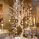 Afacere 1 imagine HAPPY EVENTS Shopping în Bacău