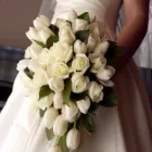 Afacere 15 imagine HAPPY EVENTS Shopping în Bacău