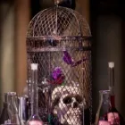 Afacere 18 imagine HAPPY EVENTS Shopping în Bacău