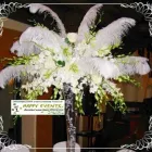 Afacere 37 imagine HAPPY EVENTS Shopping în Bacău