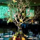 Afacere 49 imagine HAPPY EVENTS Shopping în Bacău