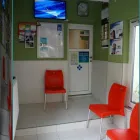 Afacere 1 imagine HERMANN VET Veterinari şi clinici veterinare în Sibiu