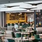 Afacere 3 imagine HILTON GARDEN INN BUCHAREST AIRPORT Turism şi Agrement în Otopeni IF