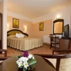 Afacere 29 imagine HOTEL AMBIENT BRASOV Turism şi Agrement în Braşov