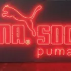 Afacere 4 imagine INDIGO - PRODUCTIE PUBLICTARA Servicii profesionale în Bucureşti