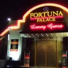 Afacere 6 imagine INDIGO - PRODUCTIE PUBLICTARA Servicii profesionale în Bucureşti