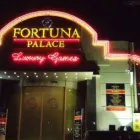 Afacere 7 imagine INDIGO - PRODUCTIE PUBLICTARA Servicii profesionale în Bucureşti