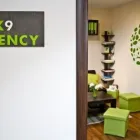 Afacere 5 imagine INK9 CREATIVE AGENCY Servicii profesionale în Oradea BH