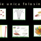 Afacere 33 imagine IVY PLAST & HYGIENE Shopping în Tunari IF