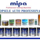 Afacere 2 imagine JENY IMPEX SRL Vopsitorie auto în Sibiu