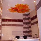 Afacere 1 imagine MOLD TREND COMPANY SRL Servicii profesionale în Suceava