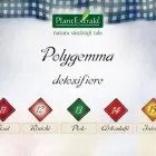 Afacere 9 imagine NATURISTI.RO Sport şi Activităţi în aer liber în Cluj-Napoca CJ