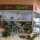 Afacere 14 imagine NYOS Uşi, ferestre şi accesorii în Oradea BH