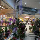 Afacere 15 imagine NYOS Uşi, ferestre şi accesorii în Oradea BH