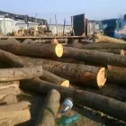 Afacere 11 imagine PALETI PRODUCEM RECICLAM Produse din lemn în Timişoara TM