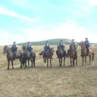 Afacere 1 imagine PANNON GUARD SECURITY INTERNATIONAL Servicii profesionale în Oradea BH