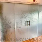 Afacere 6 imagine PANTEA SERV IMPEX SRL Uşi, ferestre şi accesorii în Bucureşti