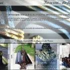 Afacere 3 imagine PASAJ S.R.L Producători şi distribuitori de scări şi balustrade în Craiova DJ
