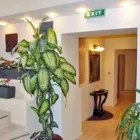 Afacere 12 imagine PENSIUNEA AMBIENT Turism şi Agrement în Brasov BV