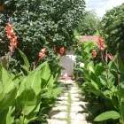 Afacere 1 imagine PENSIUNEA EXCELSIOR BACAU Turism şi Agrement în Bacău